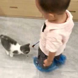 cat world:扬州市仪征市