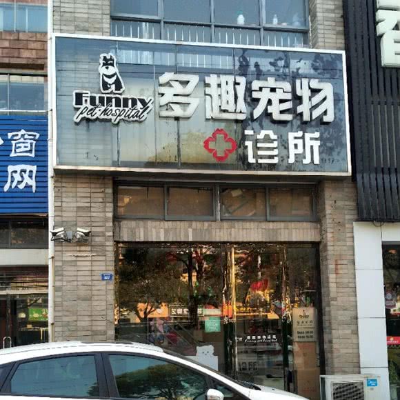多趣宠物诊所:扬州市仪征市