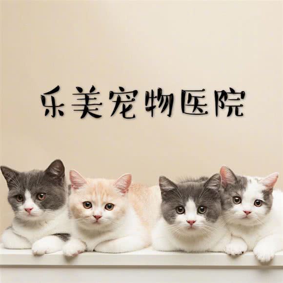 乐美宠物医院:扬州市仪征市