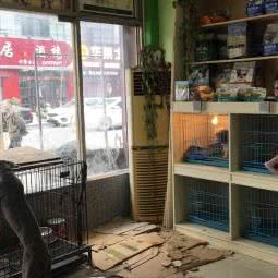 萌宠之家生活馆:扬州市高邮市