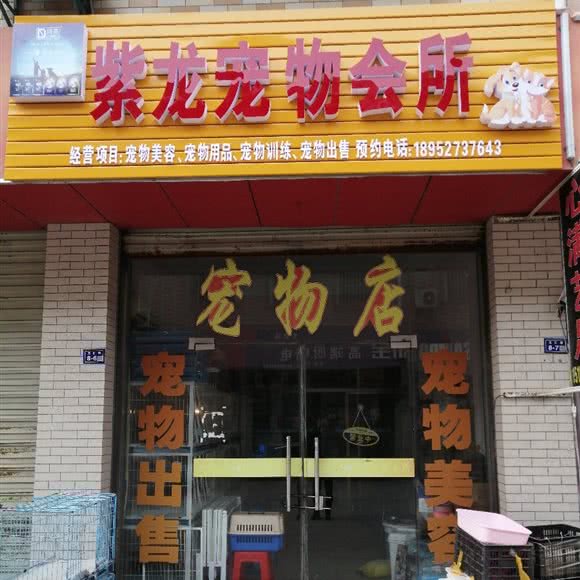 紫龙宠物会所:扬州市高邮市