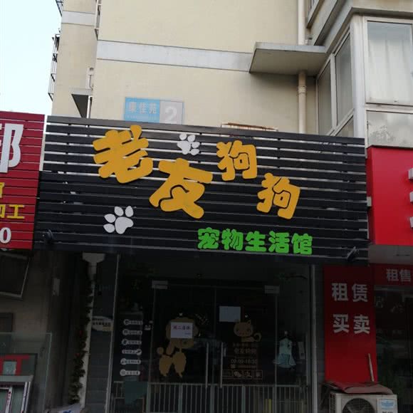 老友狗狗宠物生活馆:镇江市京口区