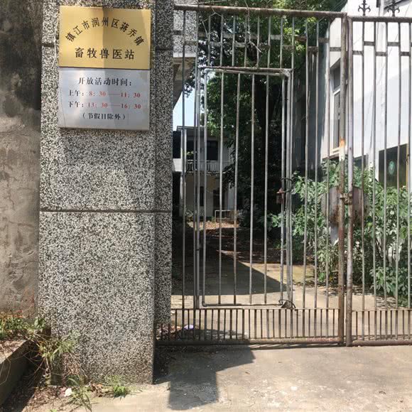 润州区蒋乔镇畜牧兽医站:镇江市润州区