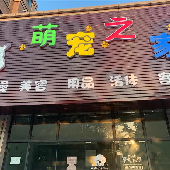 萌宠之家:镇江市丹徒区