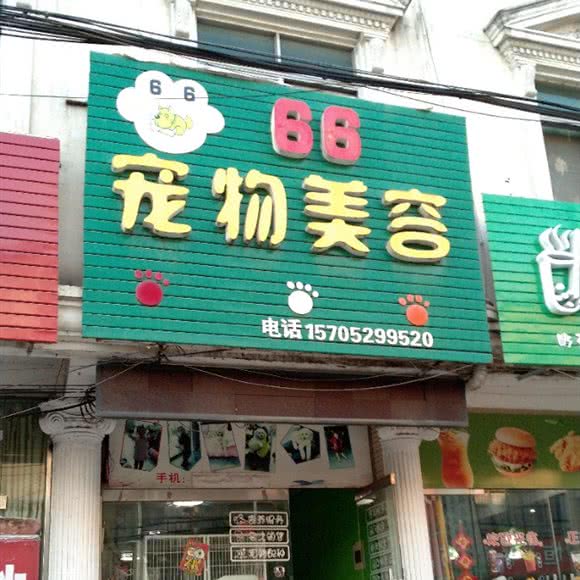 66宠物美容:镇江市丹阳市