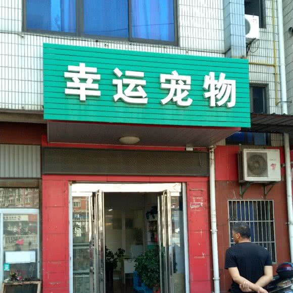 幸运宠物:镇江市丹阳市