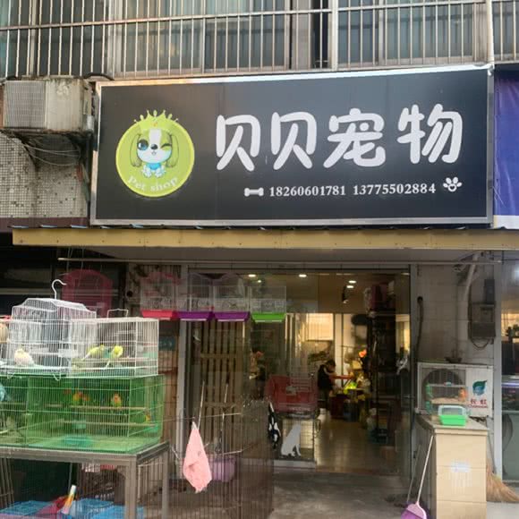 贝贝宠物:镇江市丹阳市