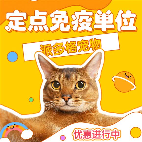 派多格宠物(丹阳旗舰店):镇江市丹阳市