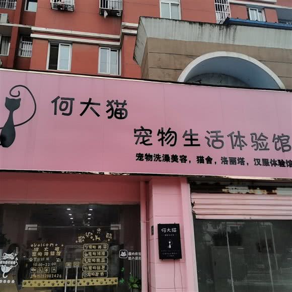 何大猫宠物生活体验馆:镇江市句容市