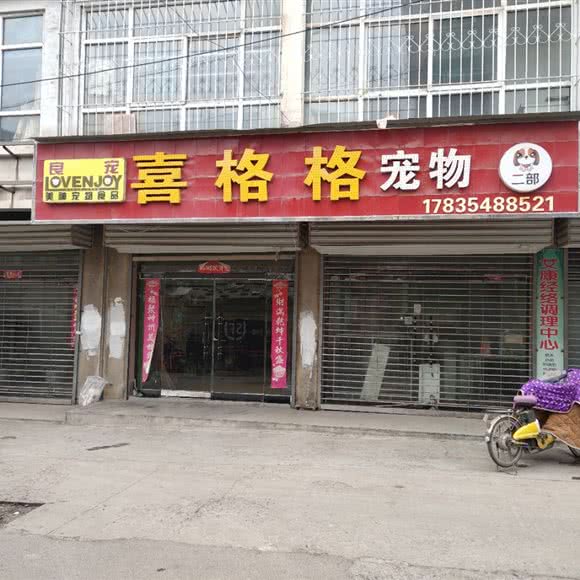 喜格格宠物狗:长治市潞城区潞城区附近