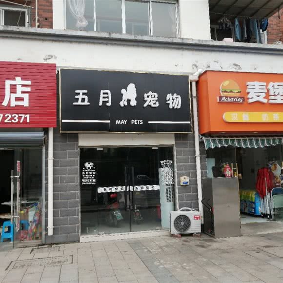 五月宠物狗:镇江市句容市