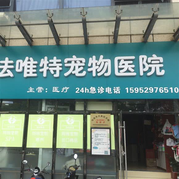 法唯特宠物医院:镇江市句容市