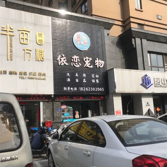 依恋宠物:泰州市海陵区