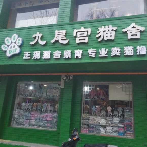 九尾宫猫舍:晋城市城区白云社区附近