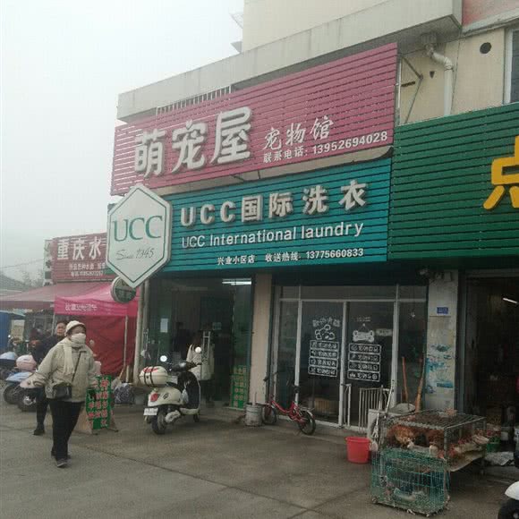 萌宠屋宠物馆:泰州市海陵区