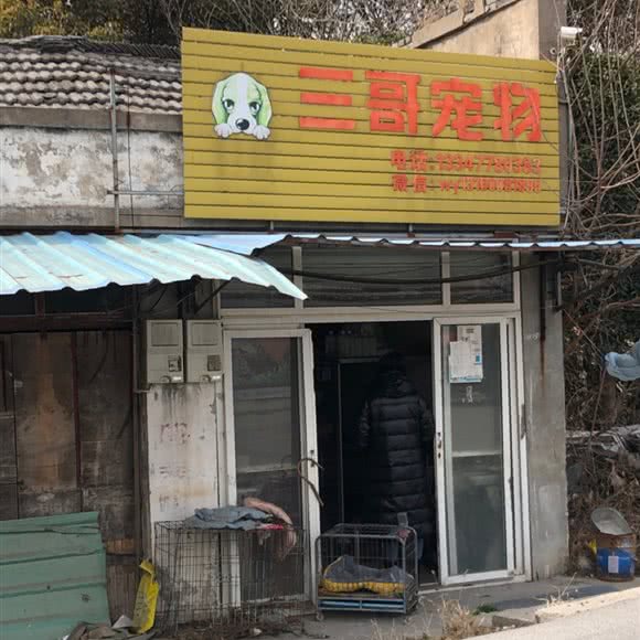 三哥宠物:泰州市高港区