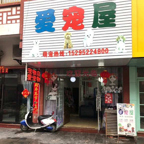 爱宠屋(会船大道店):泰州市姜堰区