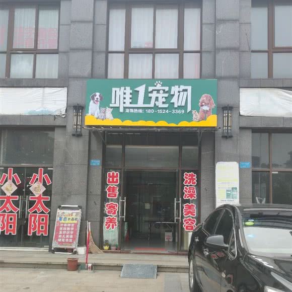 唯1宠物:泰州市姜堰区