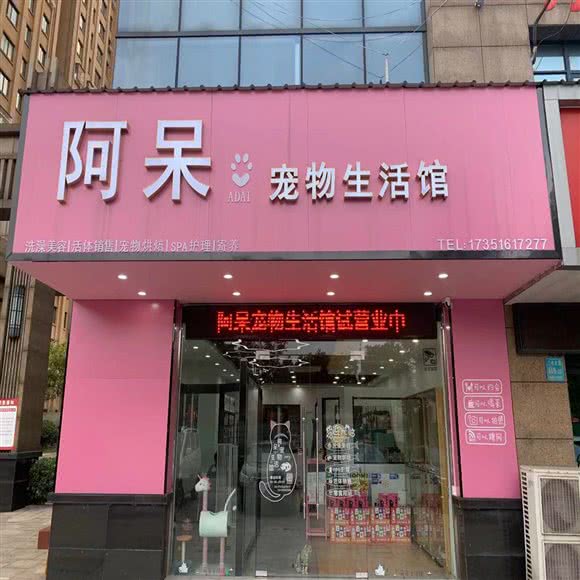 阿呆宠物生活馆:泰州市姜堰区