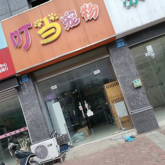 叮当宠物:泰州市姜堰区