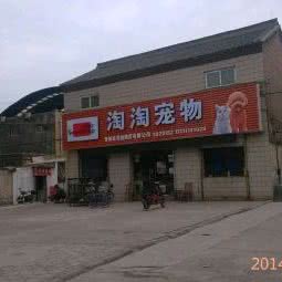 淘淘宠物:晋城市城区黄华街附近