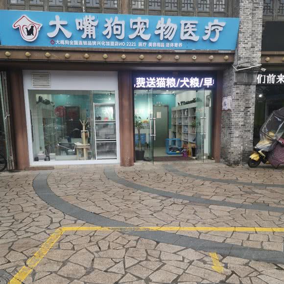 大嘴狗宠物医疗(NO.2221店):泰州市兴化市