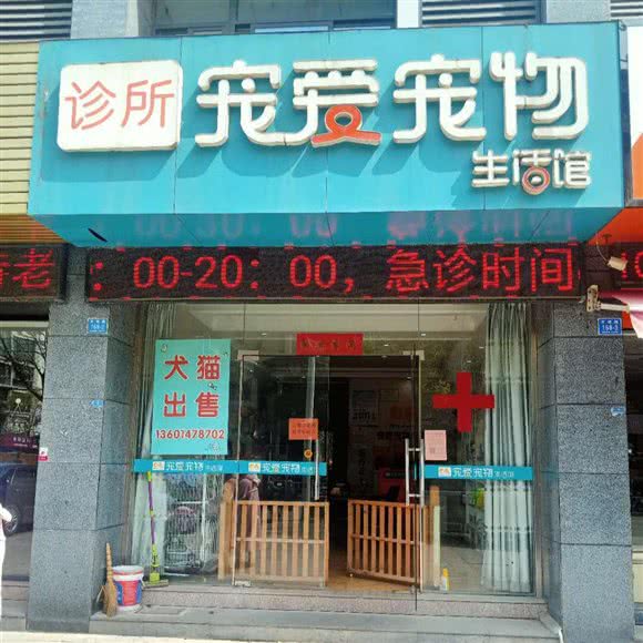 宠爱宠物生活馆(诊所):泰州市兴化市