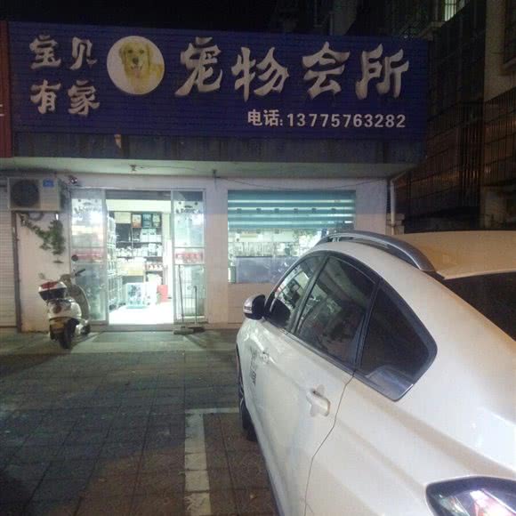 宝贝有家宠物会所:泰州市靖江市