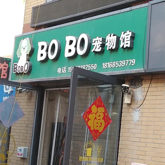 BOBO宠物馆:泰州市泰兴市
