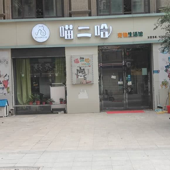 喵二哈宠物生活馆:泰州市泰兴市