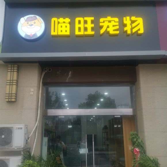 喵旺宠物:宿迁市宿城区