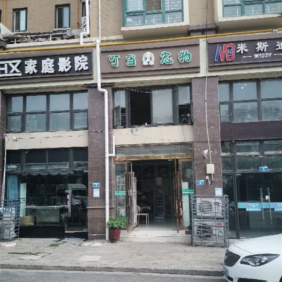 叮当宠物:宿迁市宿城区