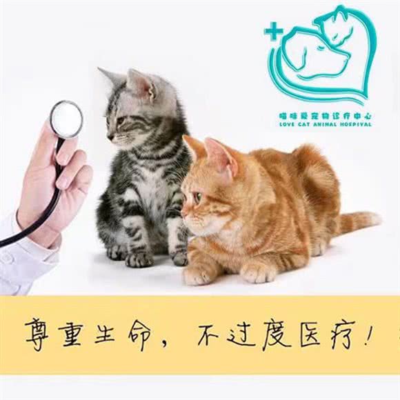 喵咪爱宠物诊疗中心:宿迁市宿城区
