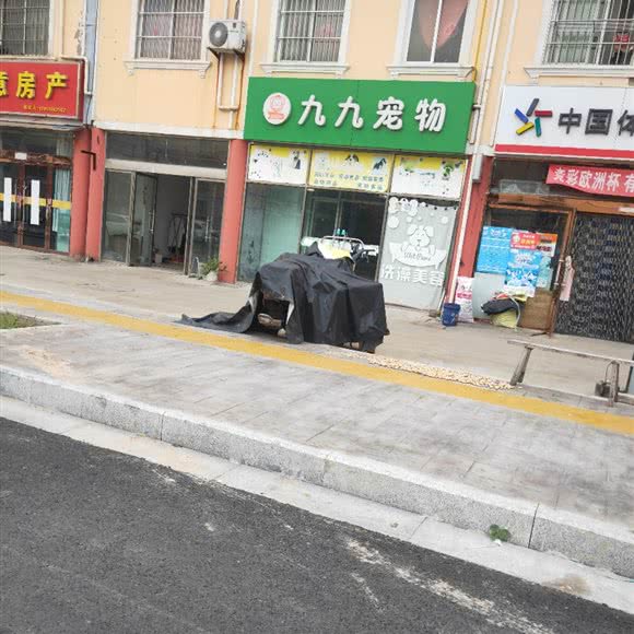 九九宠物:宿迁市宿豫区