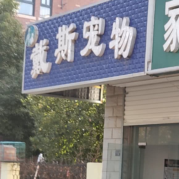 戴斯宠物:宿迁市沭阳县