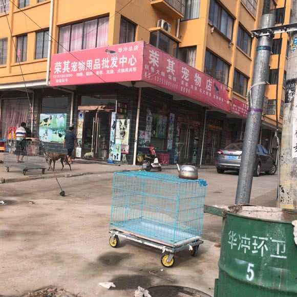 荣其宠物店:宿迁市沭阳县