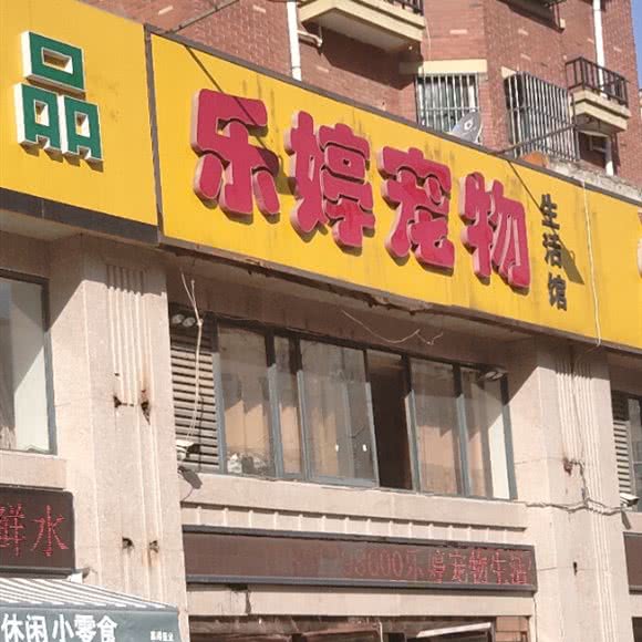 乐婷宠物:宿迁市沭阳县