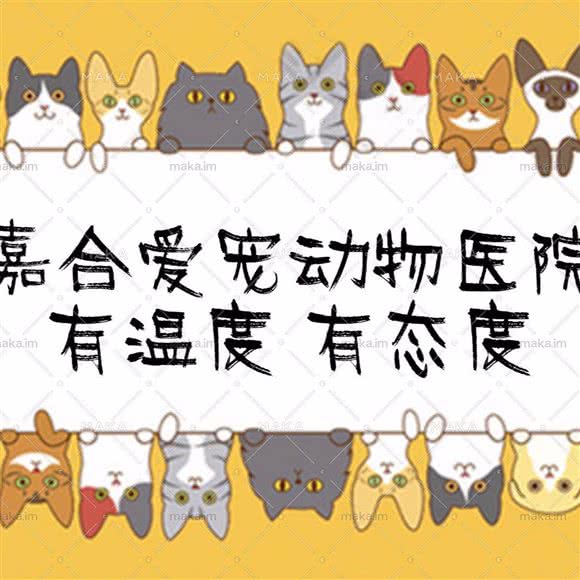 嘉合爱宠动物医院:北京城区朝阳区百子湾附近