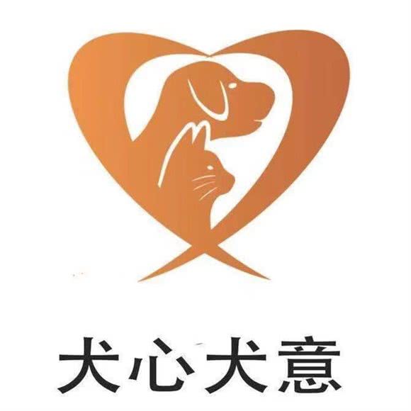 犬心犬意宠物诊所:宿迁市泗洪县