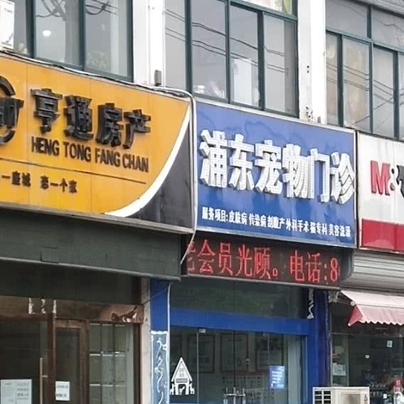 浦东宠物门诊:宿迁市泗洪县