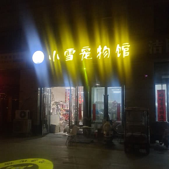 小雪宠物园:宿迁市泗洪县