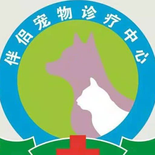 伴侣宠物诊所:宿迁市泗洪县