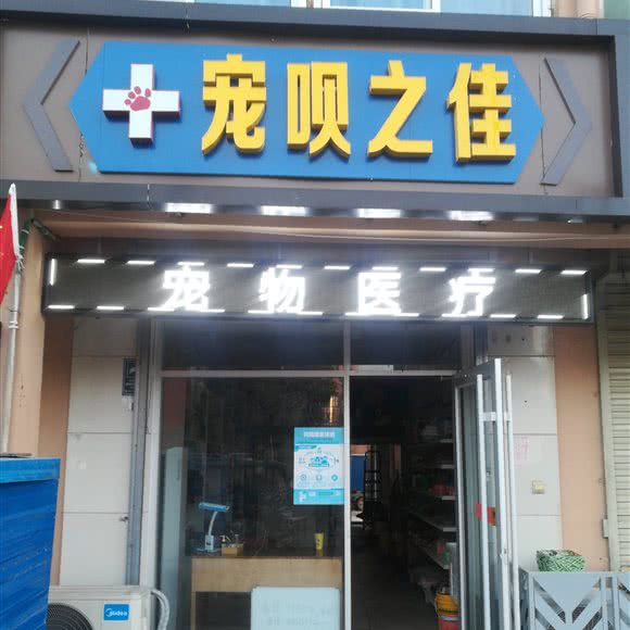 宠呗之佳宠物医院:宿迁市泗洪县
