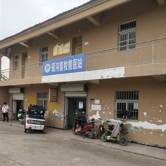 瑶沟畜牧兽医站:宿迁市泗洪县