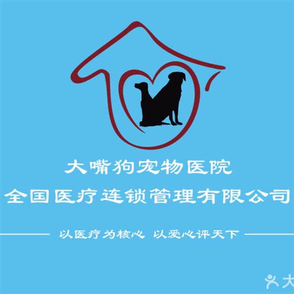 大嘴狗宠物诊所:杭州市上城区