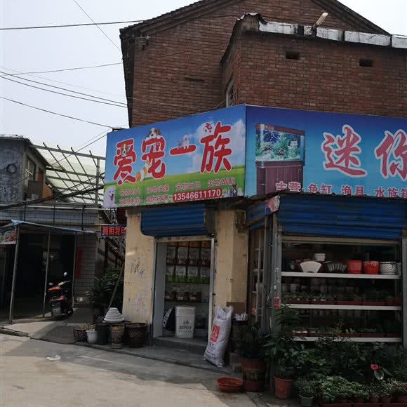 爱宠一族:晋城市城区市运/水陆院附近