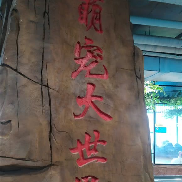 萌宠大世界:晋城市城区人民广场/凤展附近