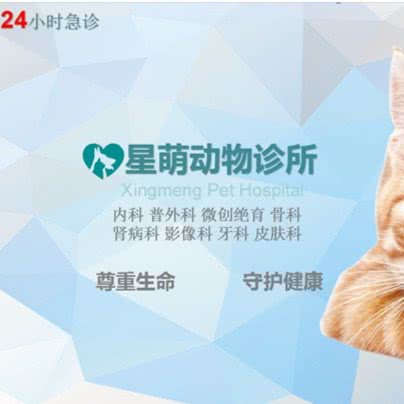 星萌动物诊所(24h夜诊、微创绝育、犬猫诊疗中心):杭州市富阳区