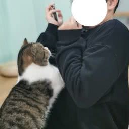 猴子姥爷的猫:杭州市临安区