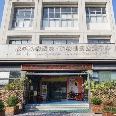 浙江农林大学教学动物医院:杭州市临安区